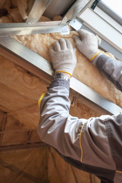 Best Residential Insulation in Mendenhall, MS